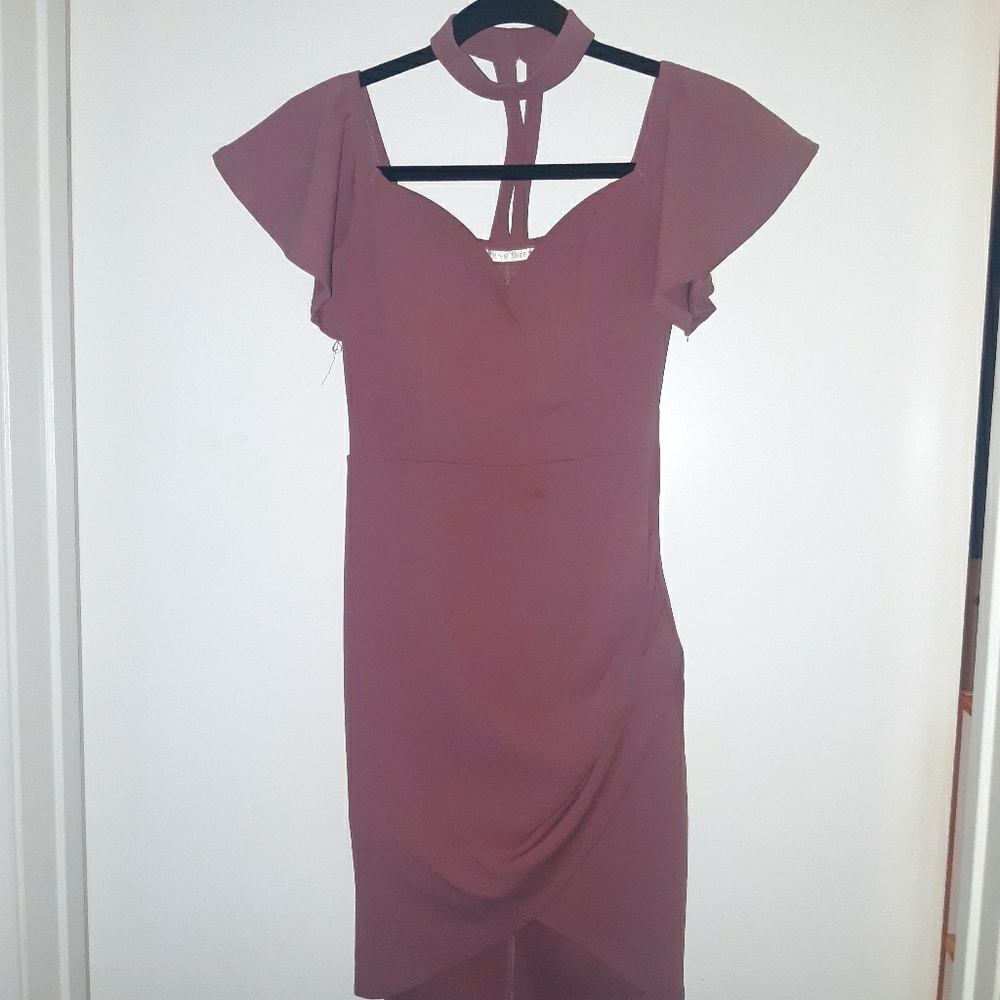 Ruffled sleeve Rose dress with Collar Derail